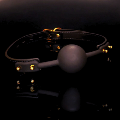 Black & Gold Ball Gag
