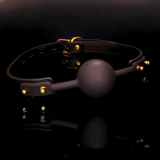 Black & Gold Ball Gag