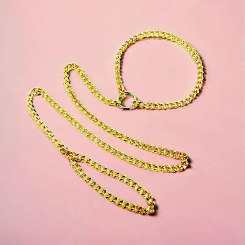 Gold Kink Chain Collar and Leash